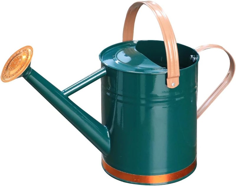 yourjoy Metal Watering Can, One Gallon Watering Cans Stainless Steel for Outdoor Indoor Garden Plants Watering (One Gallon Green Decorative Strip) - Image 1